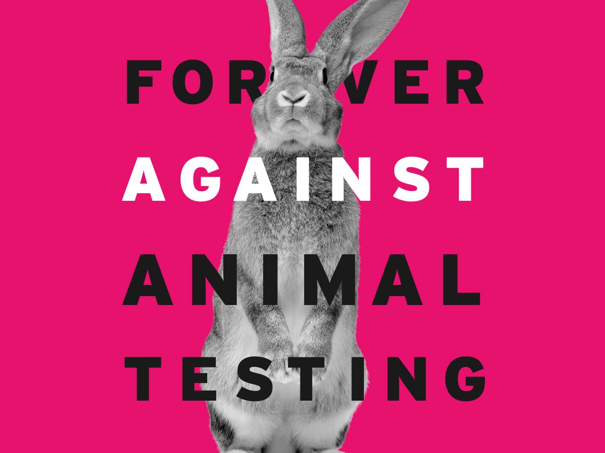 Let's ban animal testing forever, everywhere in the world. Sign our petition now! 🐰🐰 bit.ly/2sJL0NE #ForeverAgainstAnimalTesting