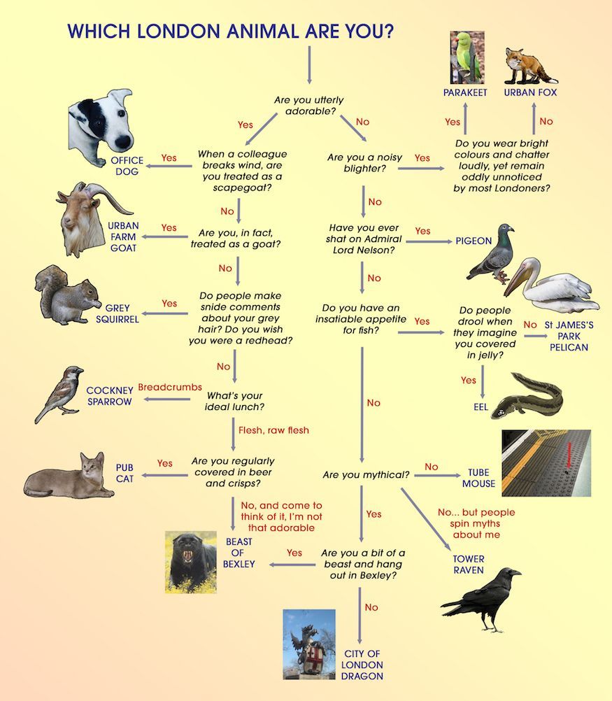 Uživatel Londonist na Twitteru: „Flow chart: which London animal are you? /dfAH31uB25 /OoCE9rCmHK“ / Twitter Uživatel Londonist na Twitteru: „Flow chart: which London animal are you? /dfAH31uB25 /OoCE9rCmHK“ / Twitter