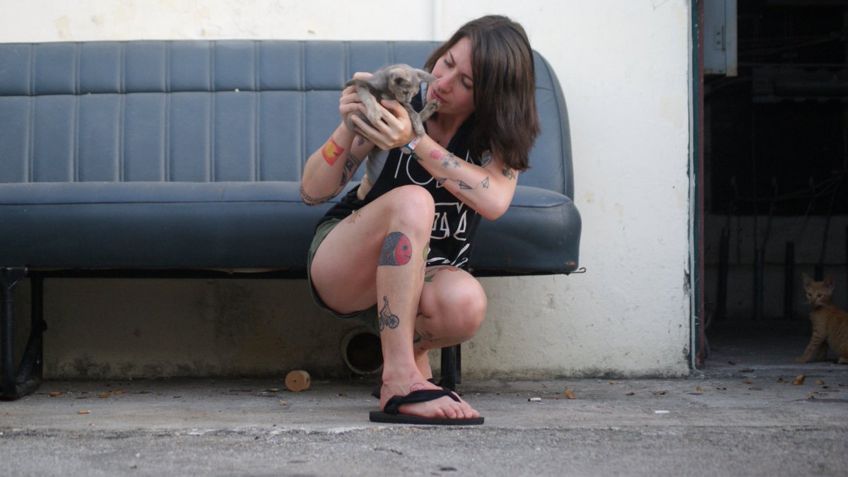 _legnarodriguez's tweet image. &amp;lt;&amp;lt;Cuando un gato de 25 días fallece/ uno está preparado para eso.&amp;gt;&amp;gt; #Chicle #LetrasCubanas #LenguaBífida .