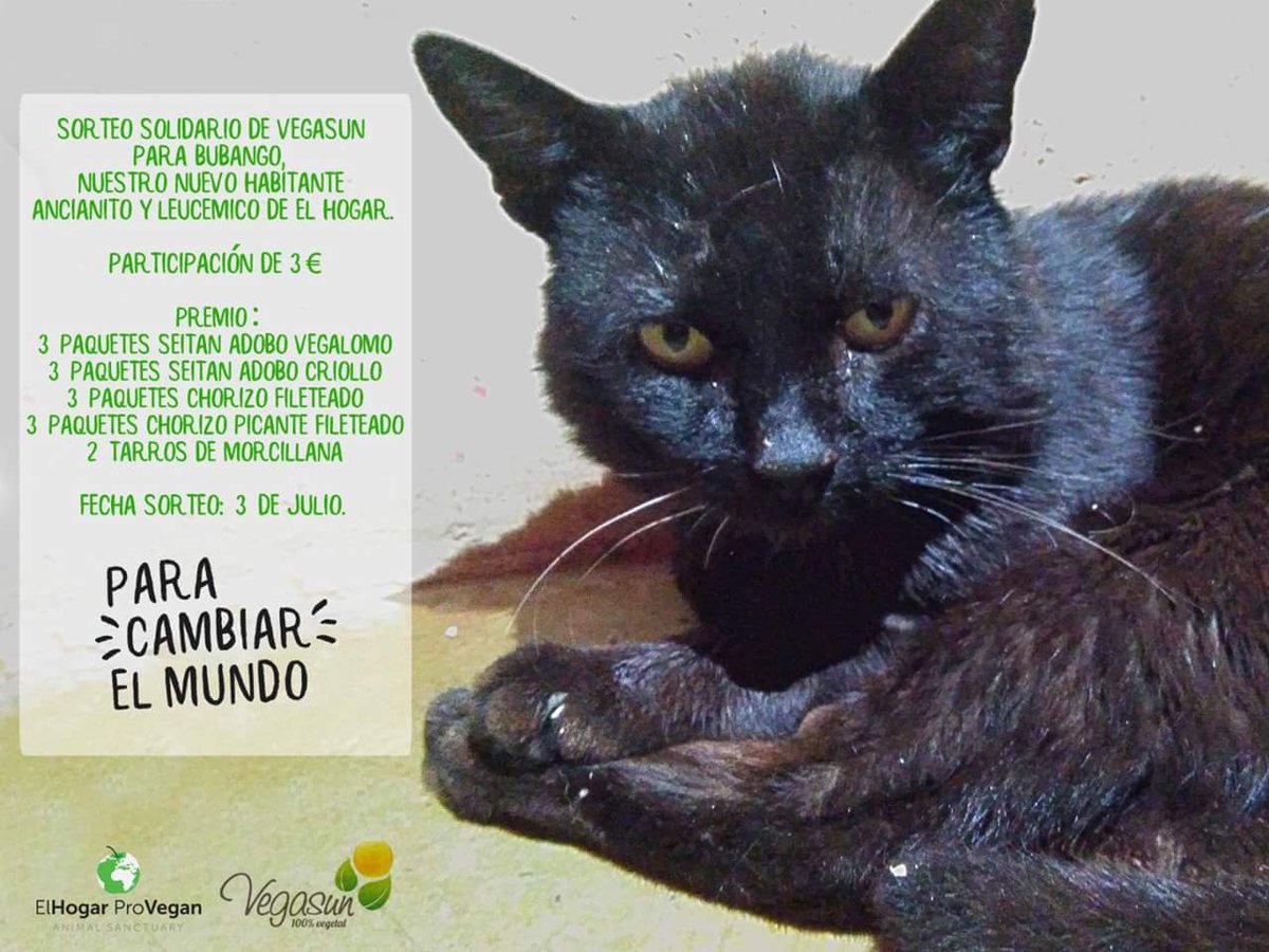 Fund_ElHogar's tweet photo. *Sorteo solidario @VegasunV por Bubango!
El nuevo habitante ancianito y leucémico de #ElHogar necesita tratamiento⬇️
https://t.co/nkk5ylDiIG https://t.co/mYAsCdqwu9