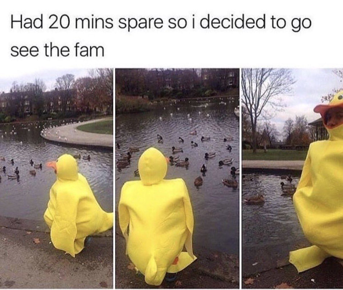 JamSandwich&aHippy tweet media