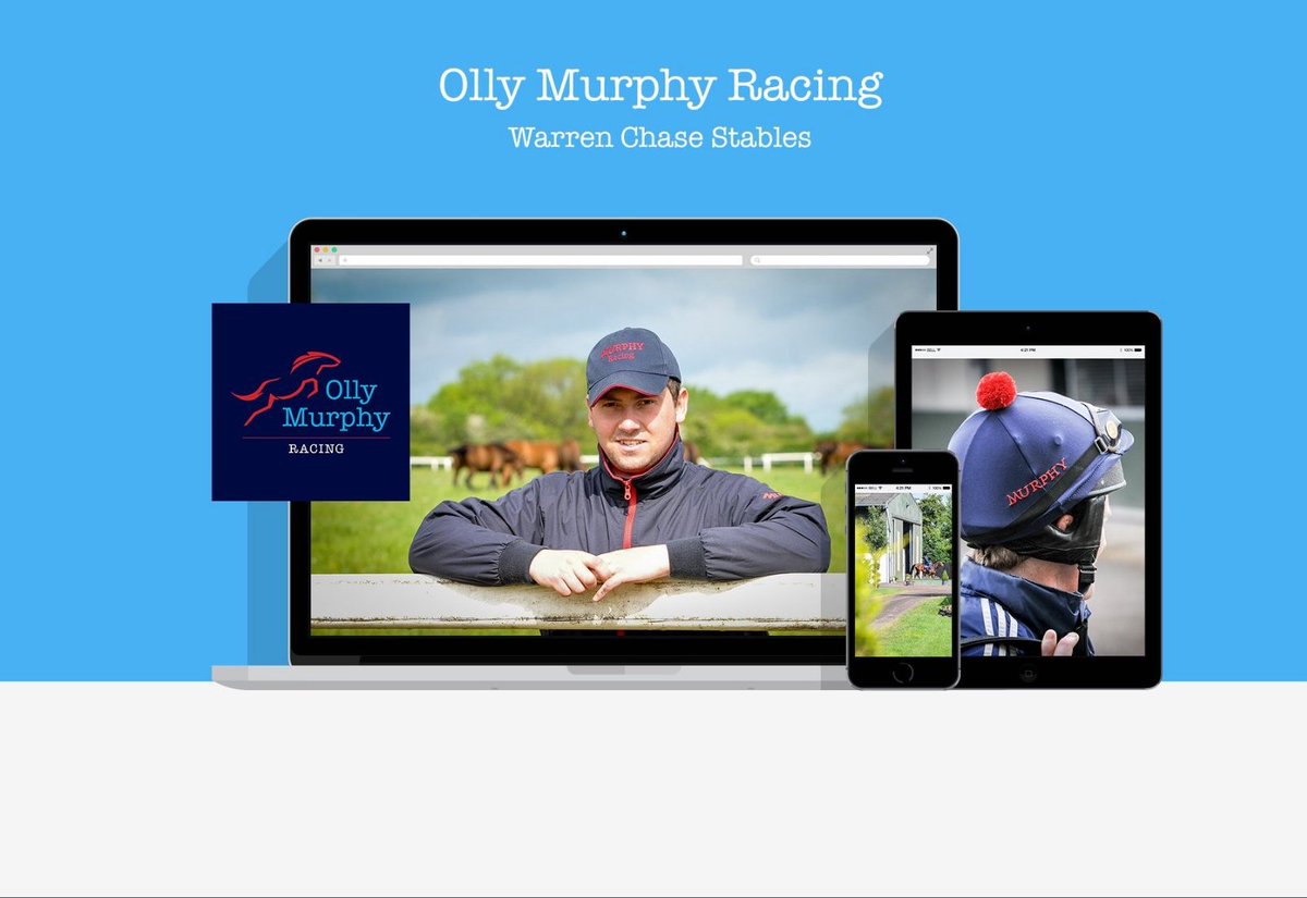Brand Equine Website Design tweet media