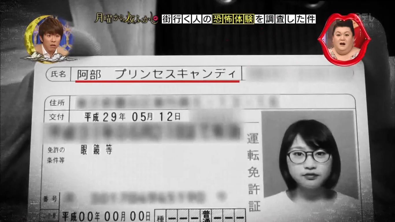 活動歴および当時の関連ビジュアル記録