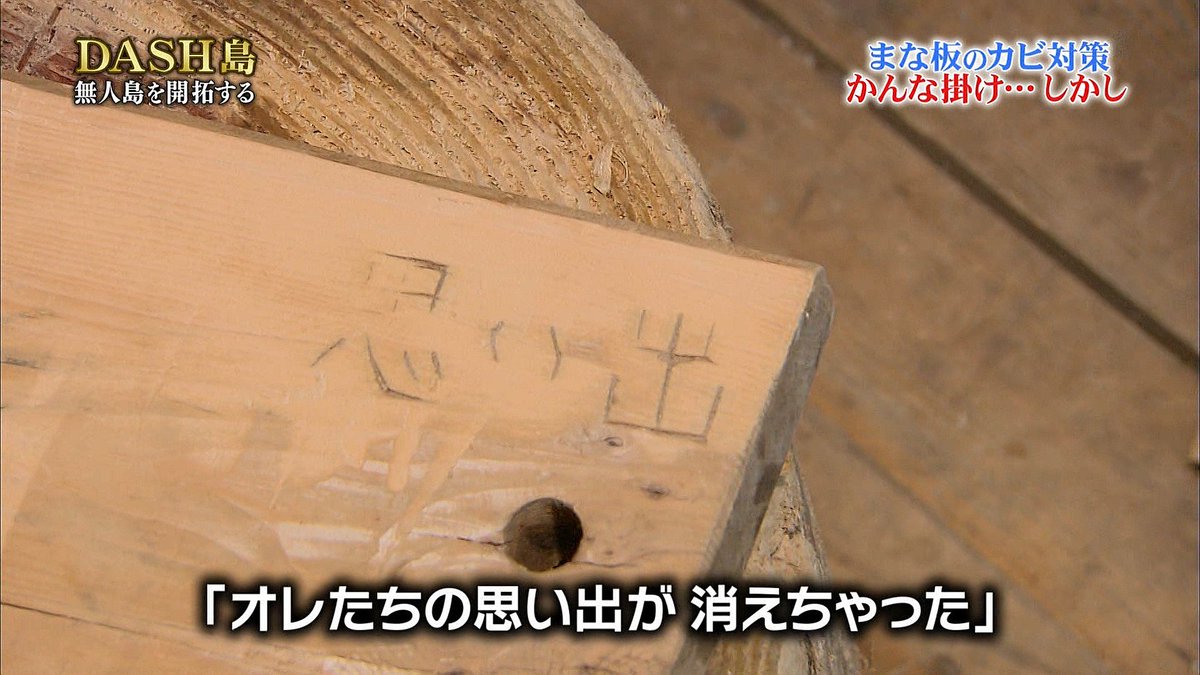 Dash島 語録 名言 Bot 松岡 オレたちの思い出が消えちゃった 消したい過去はいっぱいあるのにな 17 6 25放送分 T Co Aeizqzcsvs 鉄腕dash