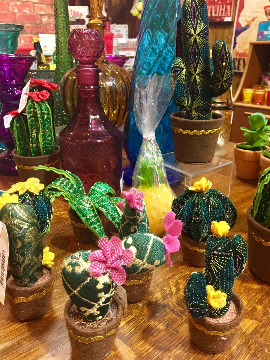 We all have a friend that's capable of even killing a cactus! This is the gift for them - temerityjonesshop.com/el-rojo-red-fl… #cacti #cactus #plants