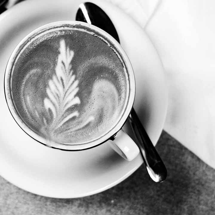 USA Title of Alabama tweet media