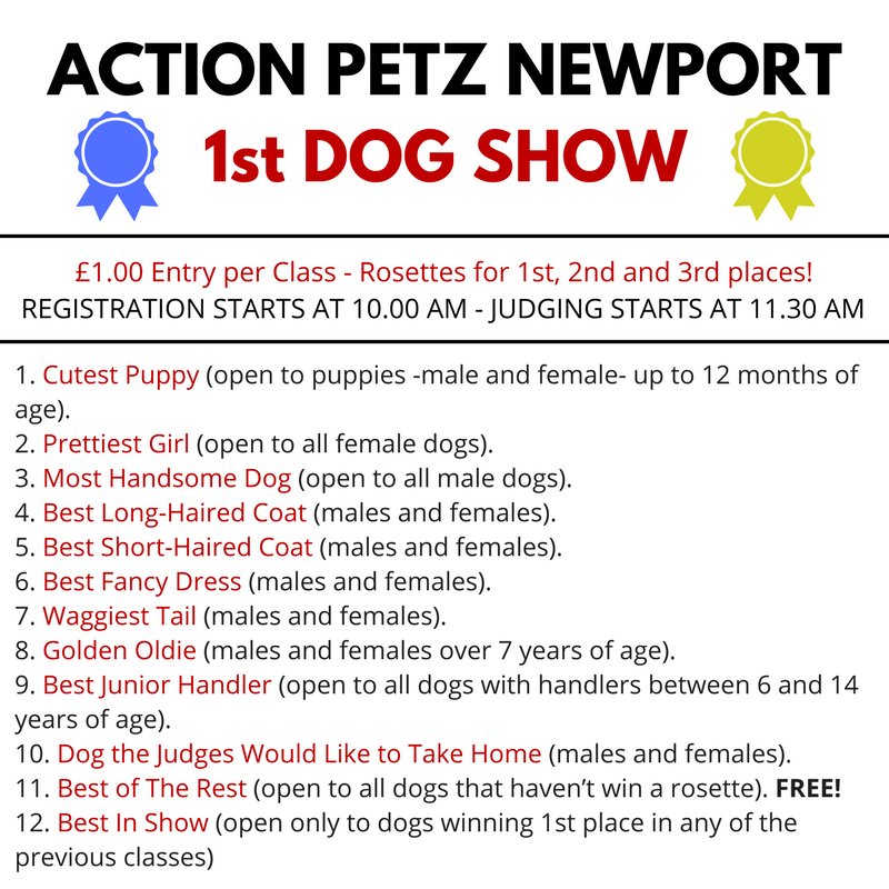 ActionPetzNewpo's tweet photo. Fun Dog Show for our lovely Newport members! Join us on the 15th of July for a full day of doggy shenanigans, BBQ, Music and more! https://t.co/f9VnUwHbH8