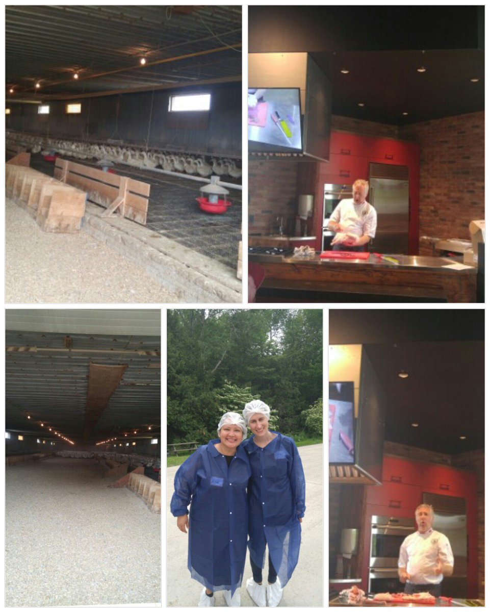 YRFoodNetwork's tweet photo. Part of our team visited the @KingColeDucks Farm recently! Amazing facilities, great staff, &amp; tasty food! https://t.co/i1XZ7ceVML #LocalYork https://t.co/B1MJIBJmt5
