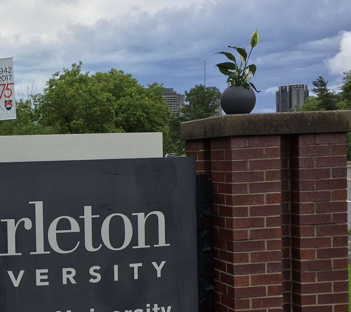 CalgaryJLJ's tweet photo. #travellingplantyyc 🌿✈️🇨🇦 #Gordana @Carleton_U #botany 🍃🌿🌱☘️#biology #PlantU 🌿👨🎓 @greengaljo #officegreenery40 #biophilia #Canada150 https://t.co/9lRSnxMNuL
