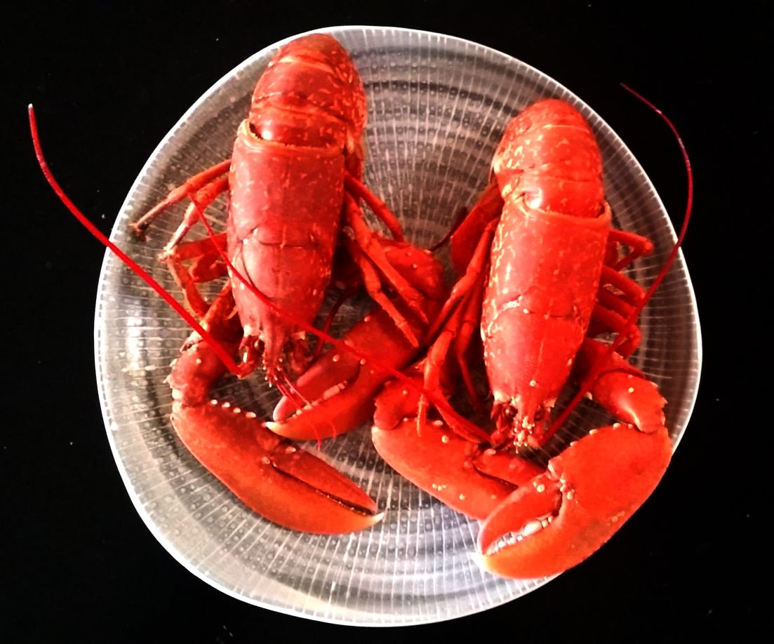 + 1 vigneron St-Emilion dans la #Manche (Gérard Descrambe)
+ <a href="/ChampagneFleury/">Champagne Fleury</a> 05 Rob.FLeury
+ Château-Chalon 99 Berthet-bondet
= Huîtromard