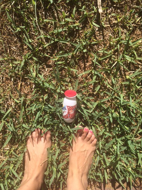 silvialp1's tweet photo. #actimelcombinacionunica me encantan a cualquier hora del día, hoy, maca y arandanos mientras descansamos en el cesped @Actimel_es https://t.co/uK2SWM6Qez