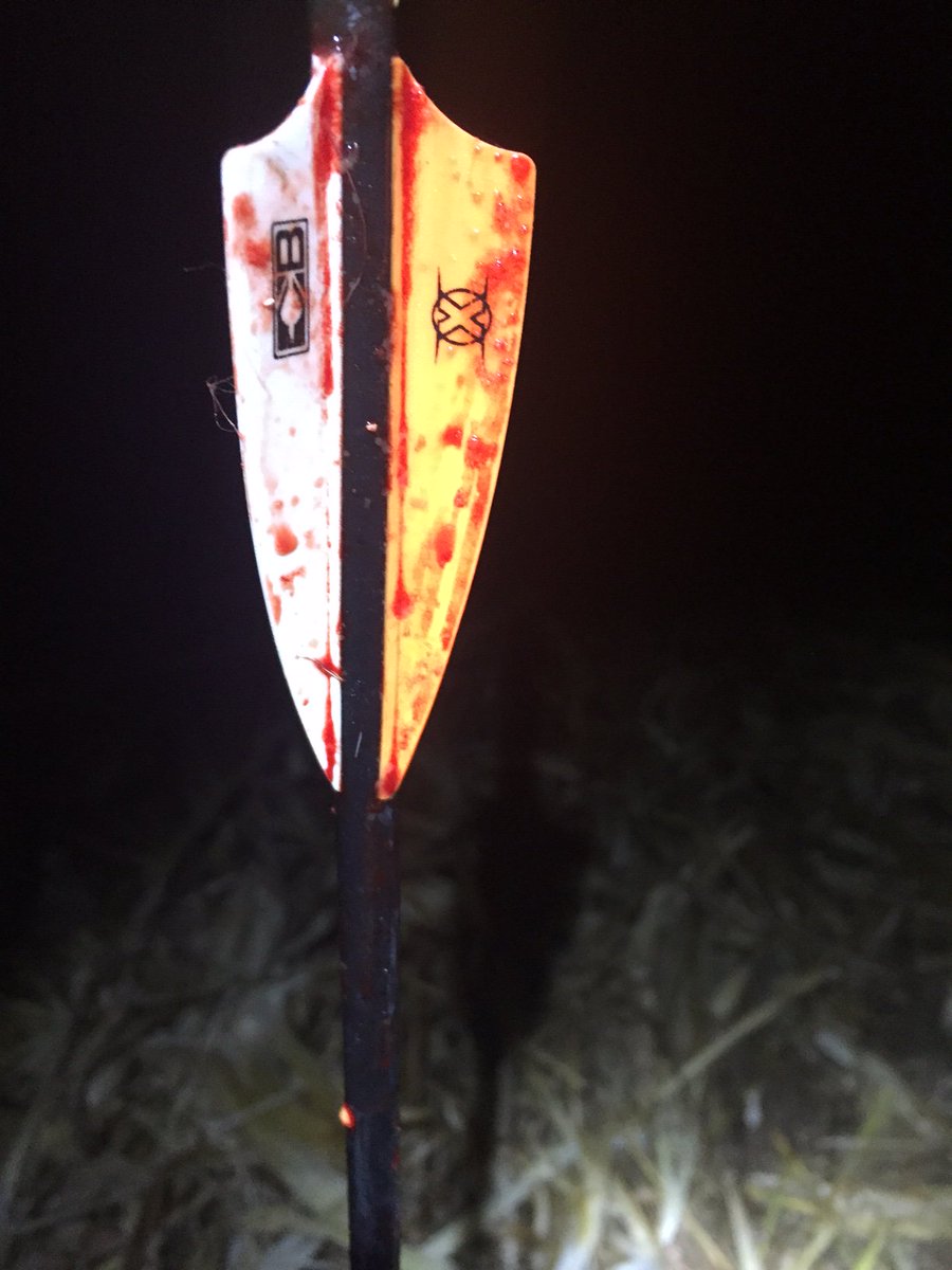 BoneView Official tweet media