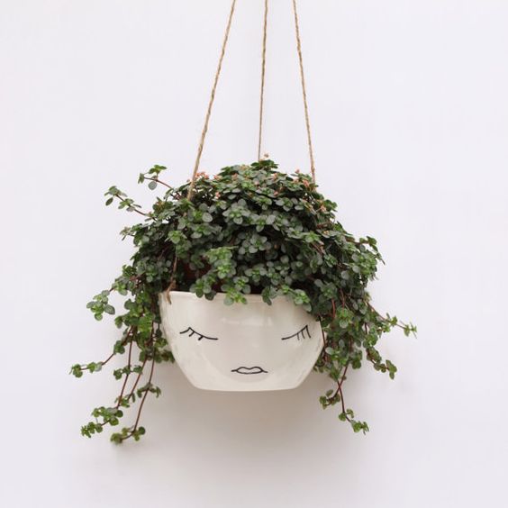 ecodecomob's tweet photo. #inspiraciónDIY: Pintar macetas. Ideal para divertirse creando algo bonito para decorar nuestra casa https://t.co/7SmTSCMser https://t.co/3mNcil8XS8