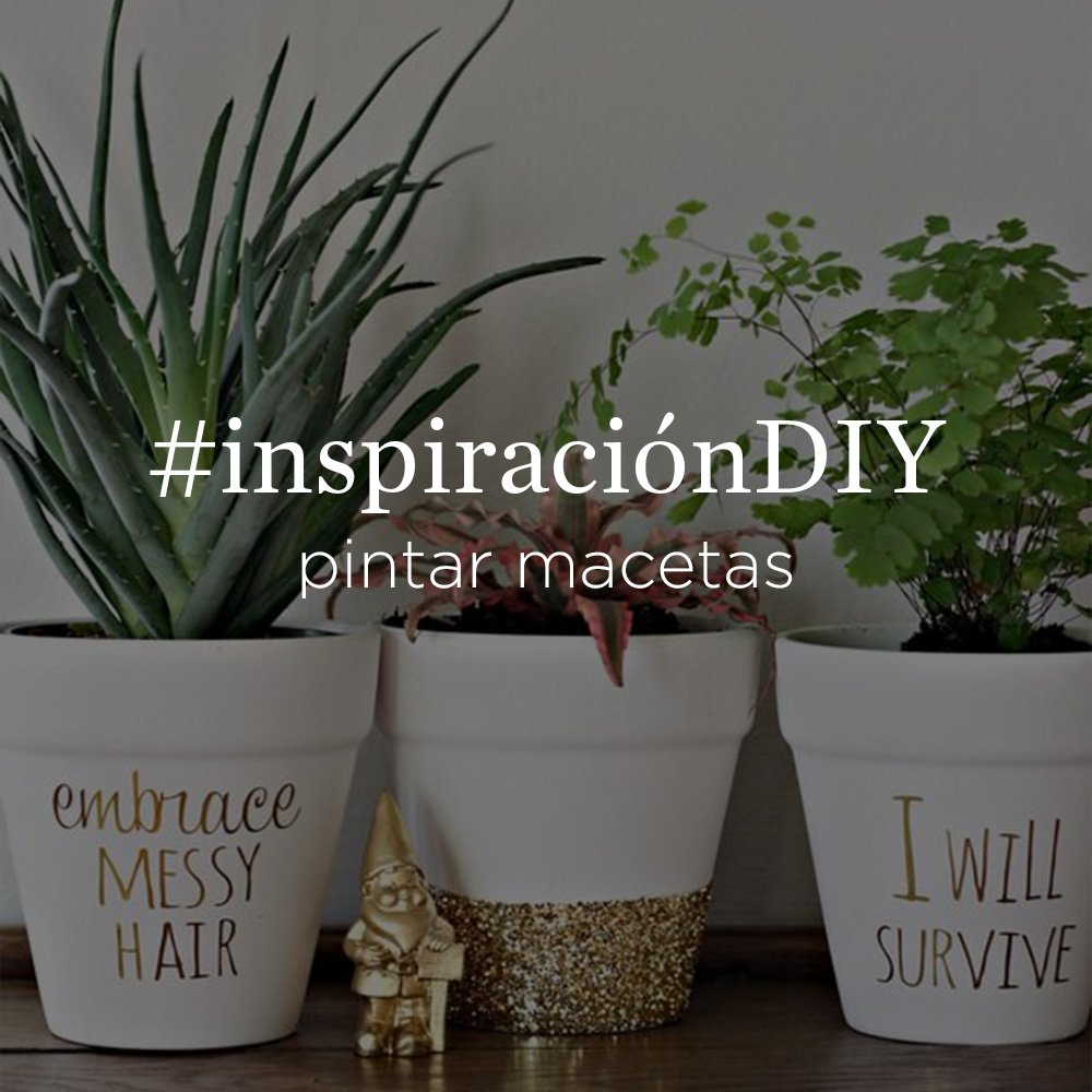 ecodecomob's tweet photo. #inspiraciónDIY: Pintar macetas. Ideal para divertirse creando algo bonito para decorar nuestra casa https://t.co/7SmTSCMser https://t.co/3mNcil8XS8