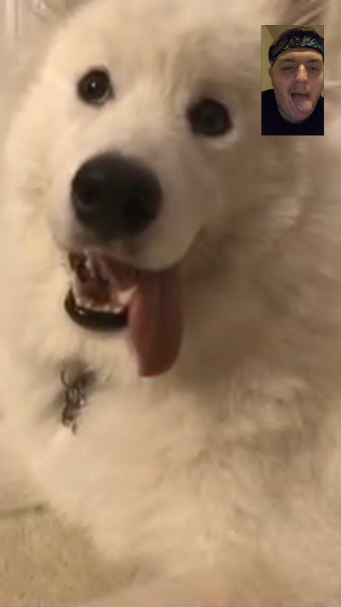 nudah's tweet photo. like father like son https://t.co/uQd2i79fck