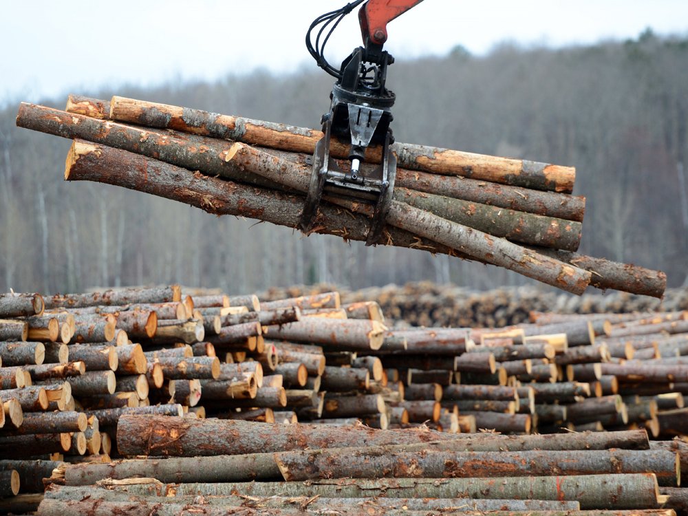 nationalpost's tweet photo. U.S. excludes three Canadian provinces from softwood lumber probe https://t.co/ns4XQ4q2sX https://t.co/iMPAKv8Epg