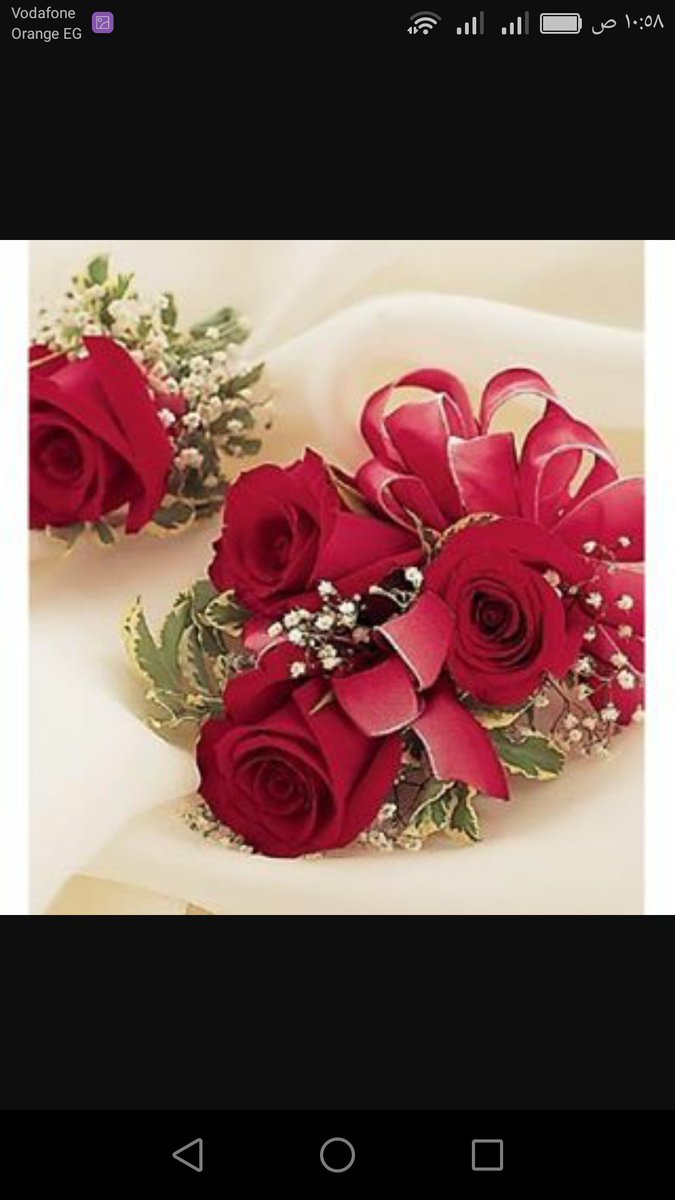 noga87376563's tweet photo. @Alshami_Team  https://t.co/Tl19txtLNj