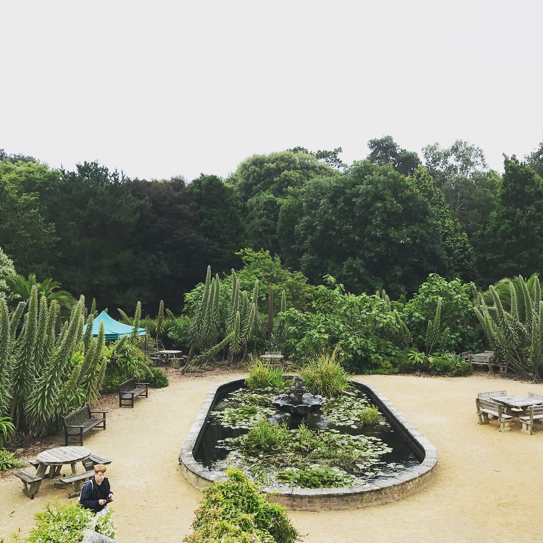 Connor Reed tweet media