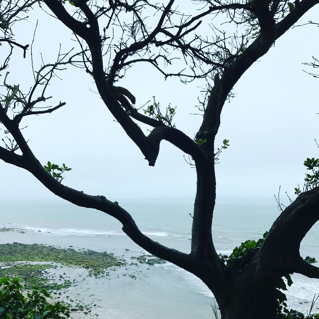 Connor Reed tweet media