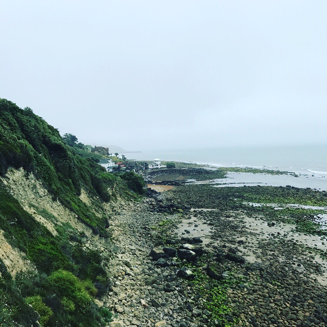 Connor Reed tweet media