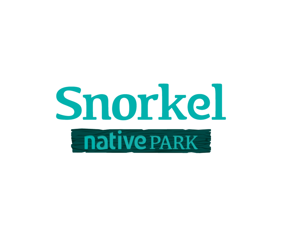 ARPCM_'s tweet photo. ¡#DisfrutoCaribeMx en #Snorkel #NativePark de @AlltournativeMX! Muchas gracias por ser parte una vez más de la #TwitterParty https://t.co/WTsxMw61ch