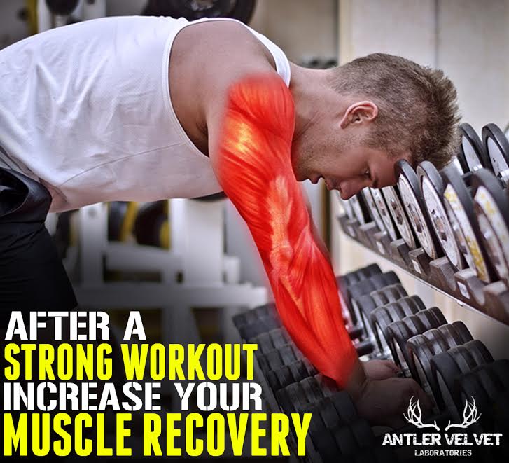 'Cause your everyday workout it is hard! Antler Velvet extract for your recovery. #Hard #ForMen #Supplements