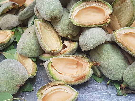 Seguimos con la #almendrafresca.
Seguim amb l' #ametllafresca.