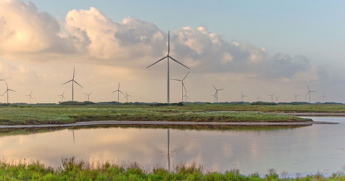 Texas Is Too Windy and Sunny for Old Energy Companies to Make Money crwd.fr/2rTvPgA