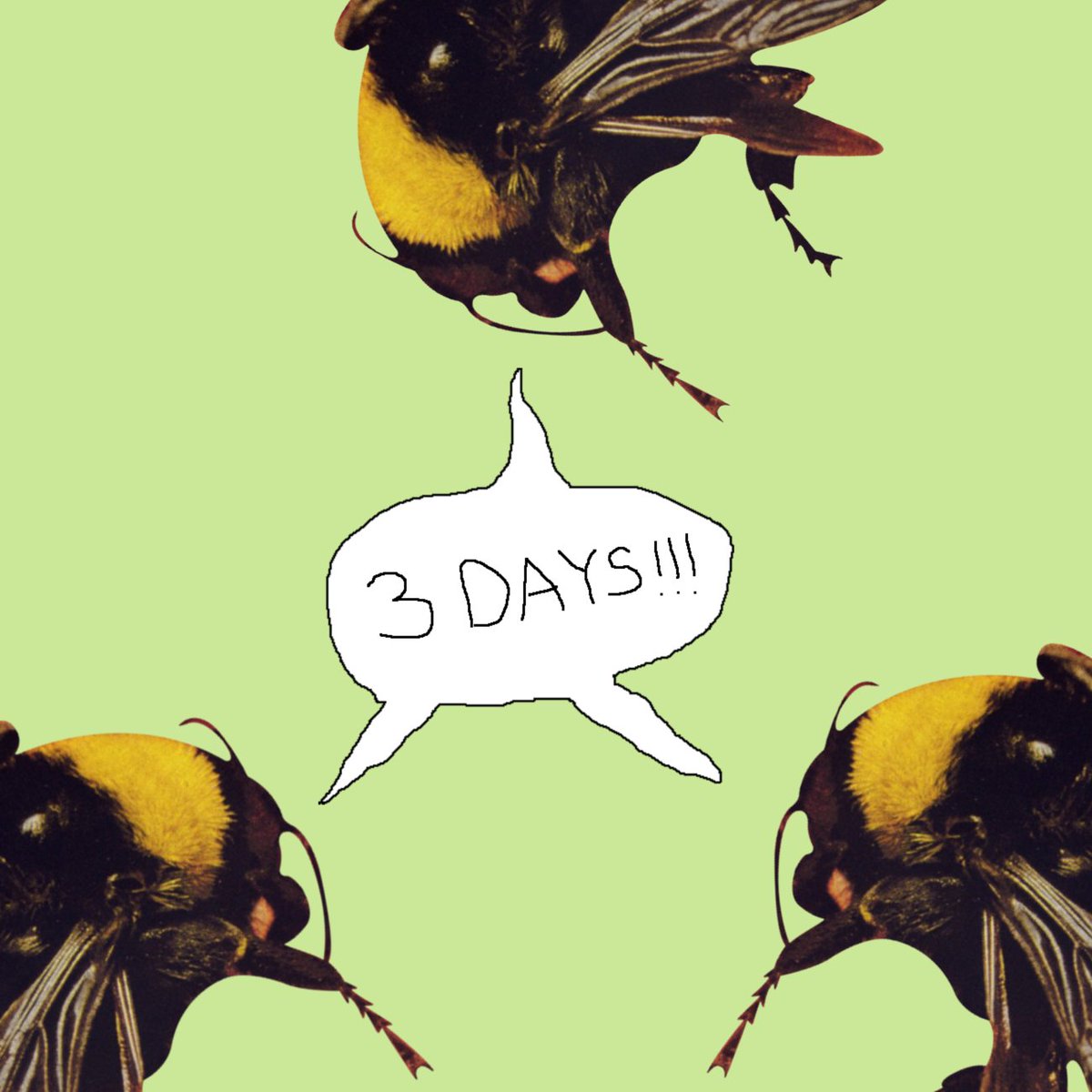 T (@tylerthecreator) on Twitter photo 