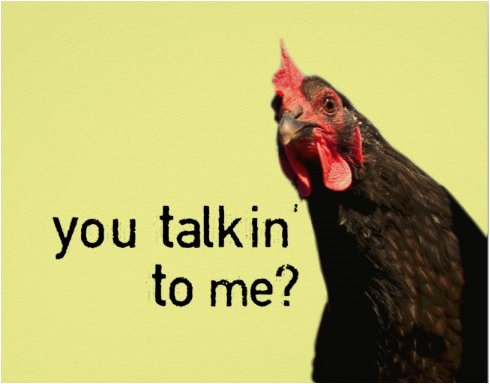 rooster_rustic's tweet image. Follow me!