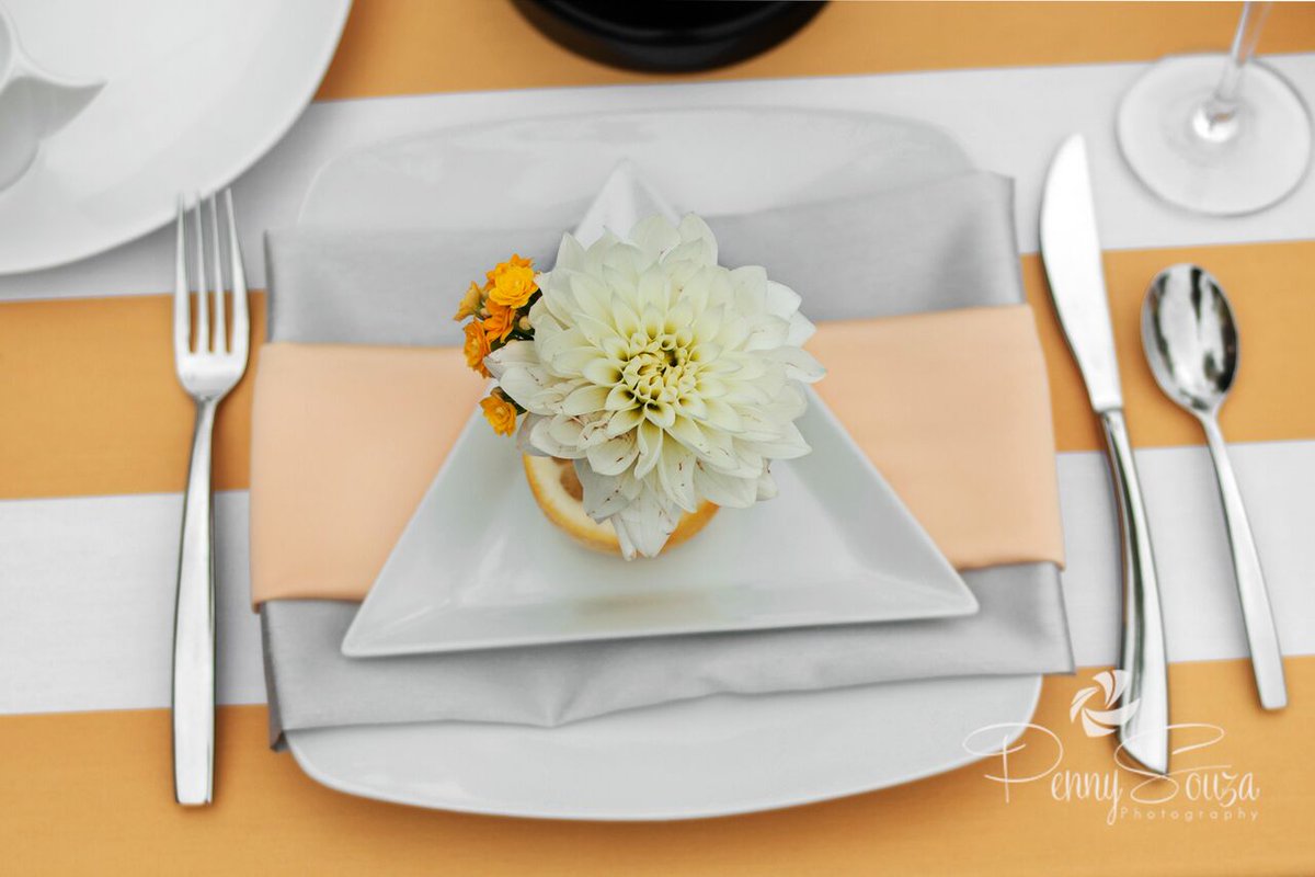 Beautiful china comes in all shapes and sizes! See all our geometric dinnerware: hubs.ly/H07S2Z-0 #Catering #Chef #Foodie