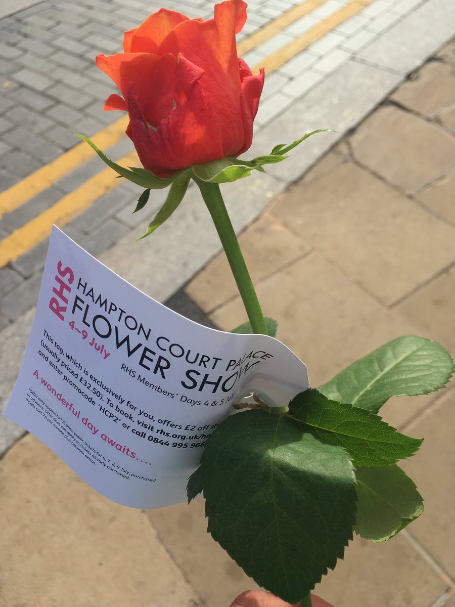 DressParties's tweet photo. A rose #sw19 station this evening thank you @The_RHS #flowershow https://t.co/TJU7a0wJ4a