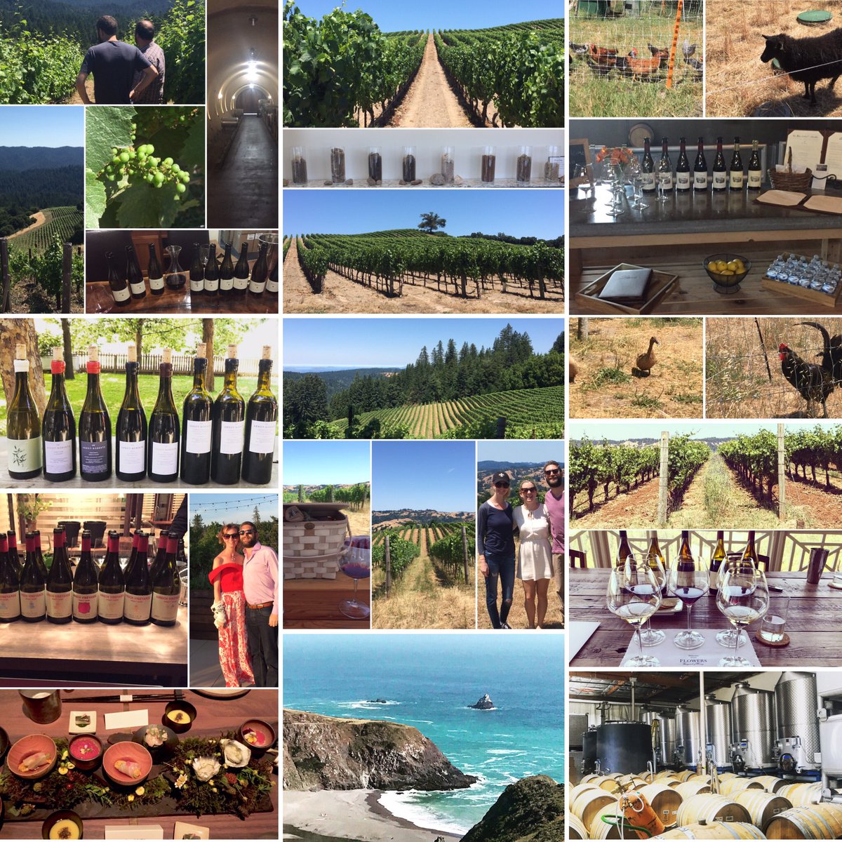 bhschaffer's tweet image. Nothing but water and salads after visits to Hirsch, Rhys, Littorai, Arnot-Roberts, Kistler, Flowers, Cruse, Single Thread, Cafe Zuni...