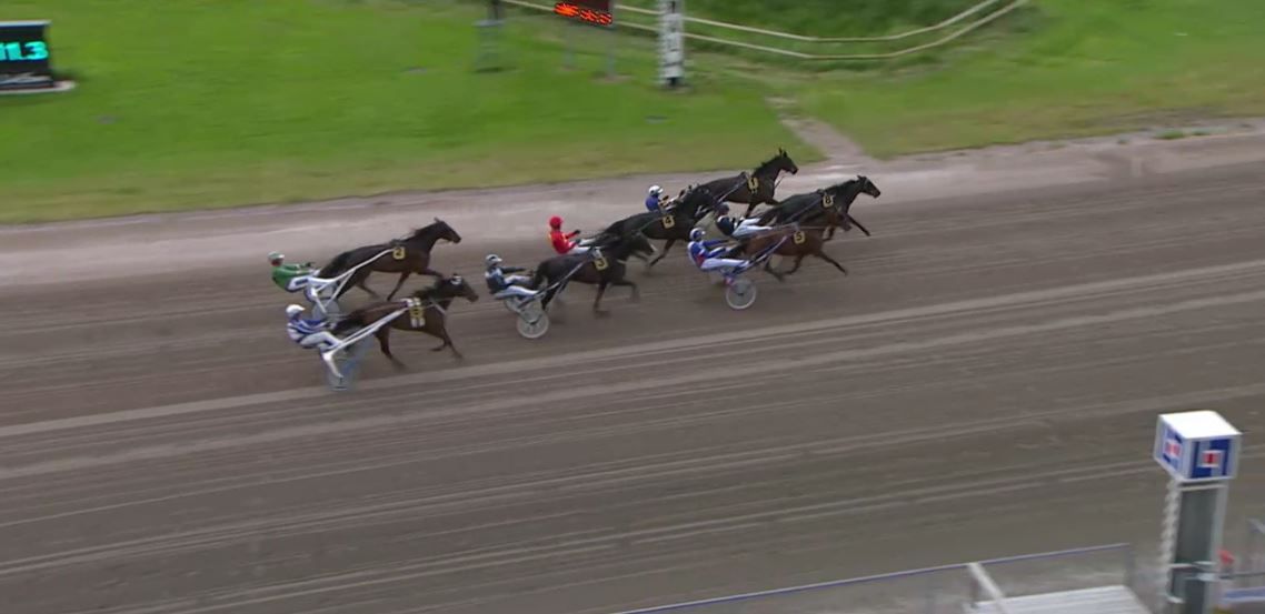 Joe_Zagari's tweet photo. #LavidalocaDeVie 🇺🇸 #Crazed won #Stosprintern Division in @HDtravet with #OrjanKihlstrom in 1.11.5 on 1609 over #UdessaDegliDei 🇮🇹 https://t.co/GIwCWOSjeU