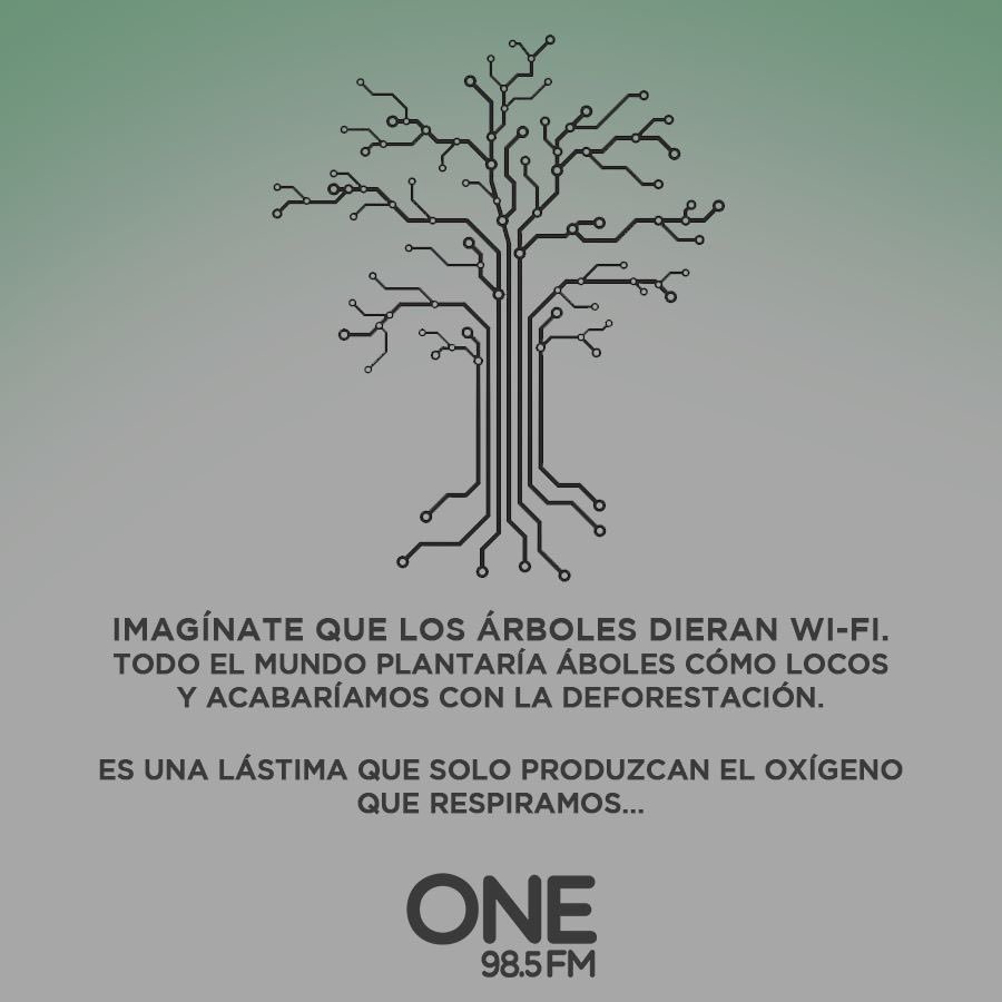 ONEFM985's tweet photo. #DíAInternacionalDeLaConservaciónDeBosquesTropicales https://t.co/UhimNOJw7I