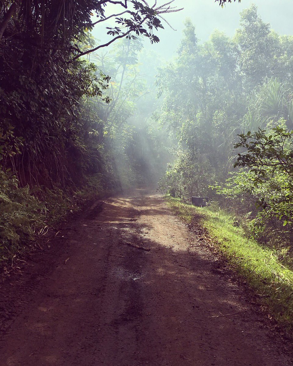 BryceDHoward's tweet photo. Nature--being all magical without special effects. 

Day 53

#jurassicworld #jurassicworld2 #JurassicWorldFallenKingdom https://t.co/OJaTvv6Tzk