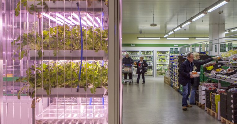 stevekrohn's tweet photo. Infarm wants to put a farm in every grocery store https://t.co/6rjS7AR5Tz https://t.co/KVvywm4szN