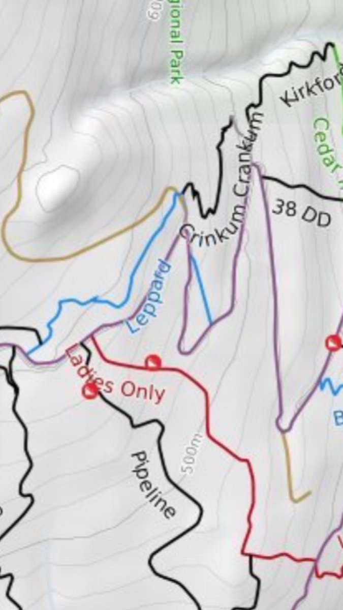 Firefighters are on scene at Mt Fromme for a rescue on Leppard Trail. #northvan @NSMBA https://t.co/z2cG6YHzK9