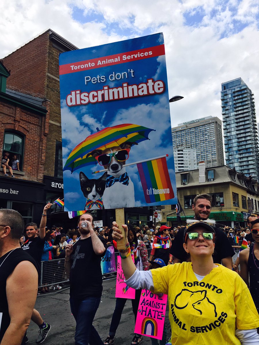 cityoftoronto's tweet photo. 200 Toronto Public Service employees marched in yesterday's Pride Parade for 2nd consecutive year. Happy Pride Toronto! #PrideTO2017 https://t.co/d7E0BJqCjk