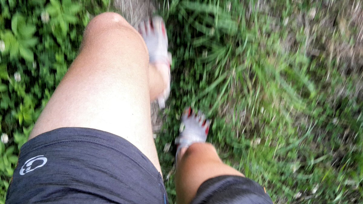 AlesZavoral's tweet photo. Still trying to persuade my legs after #TAW2017 that now is time back to running and not pedalling. Getting ready for #MF100. https://t.co/AjTLBJGUM3