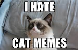 Latin4Potatoes's tweet photo. Results of Cats being asked about Cat Memes =-) https://t.co/0S5YYKv8Dk