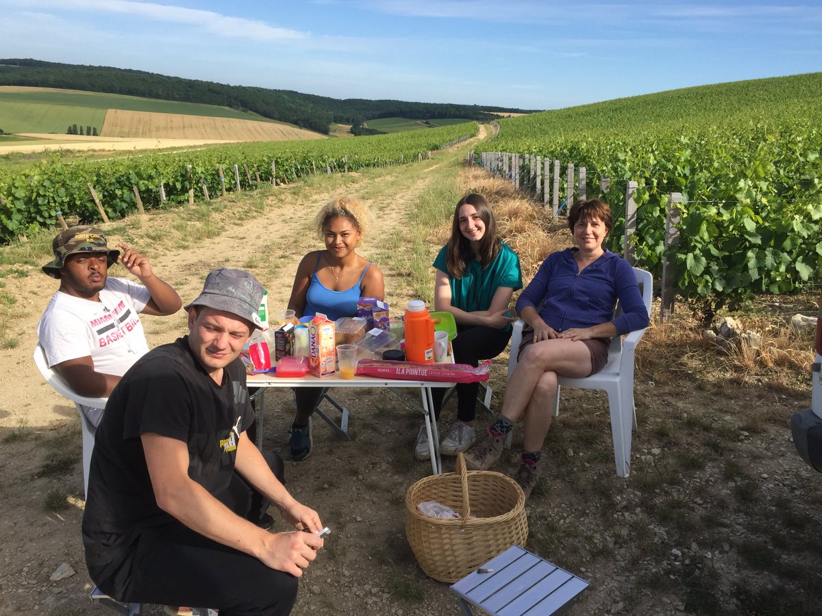 ColetteBonnet's tweet photo. le palissage est terminé sous un soleil torride et nous avons fait de belles rencontres humaines et animalière. ça sent les vacances !!! https://t.co/W3mlqcPtc4
