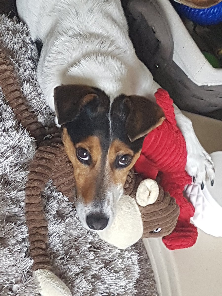 Snoopdougiedogs's tweet photo. Its mine and your not having it #HandsOff https://t.co/HFwWGzbJFl