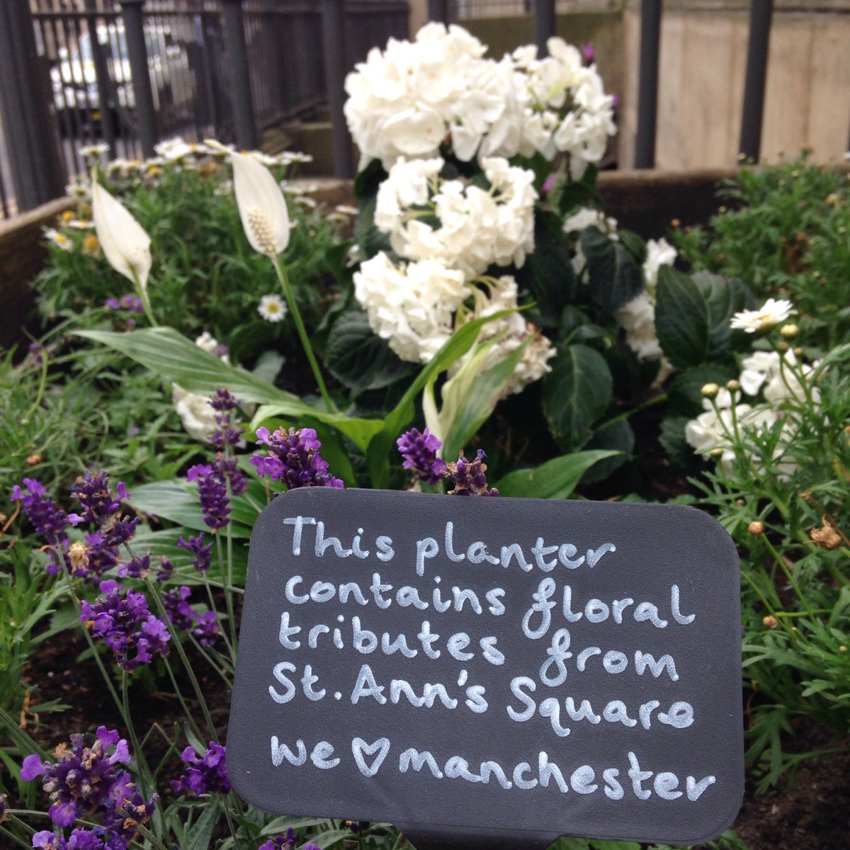 lumenlandscape's tweet photo. Floral tributes from St. Ann's Square lovingly planted by @DAWNADAM5 of @HelpBritBloss @MAGallerycafe @mcrartgallery #welovemanchester https://t.co/eK3QAzxQMI