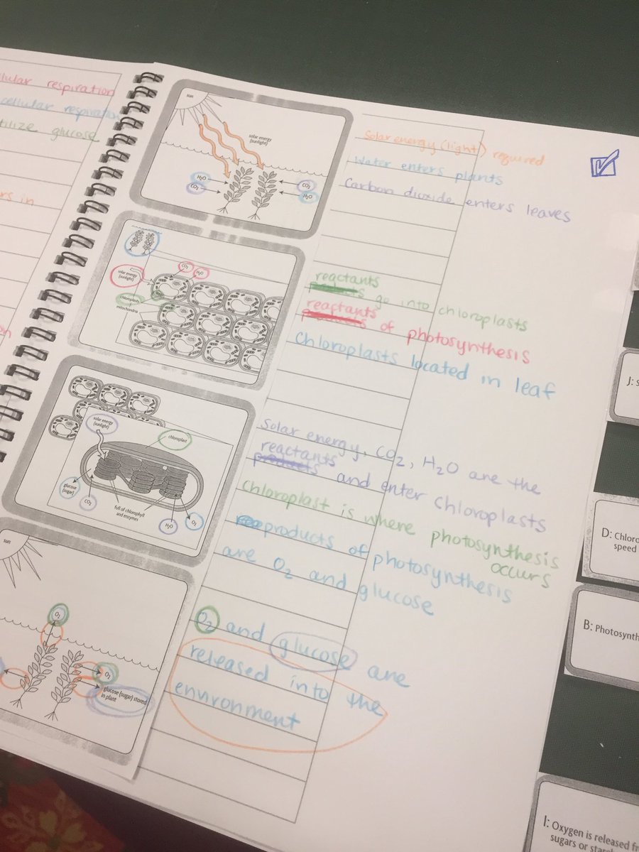 CourtneyDeetz's tweet photo. Had a great time learning about photosynthesis &amp; cellular respiration! #WIAgI2 @DuPont_News @LabAids https://t.co/qQ3usannje