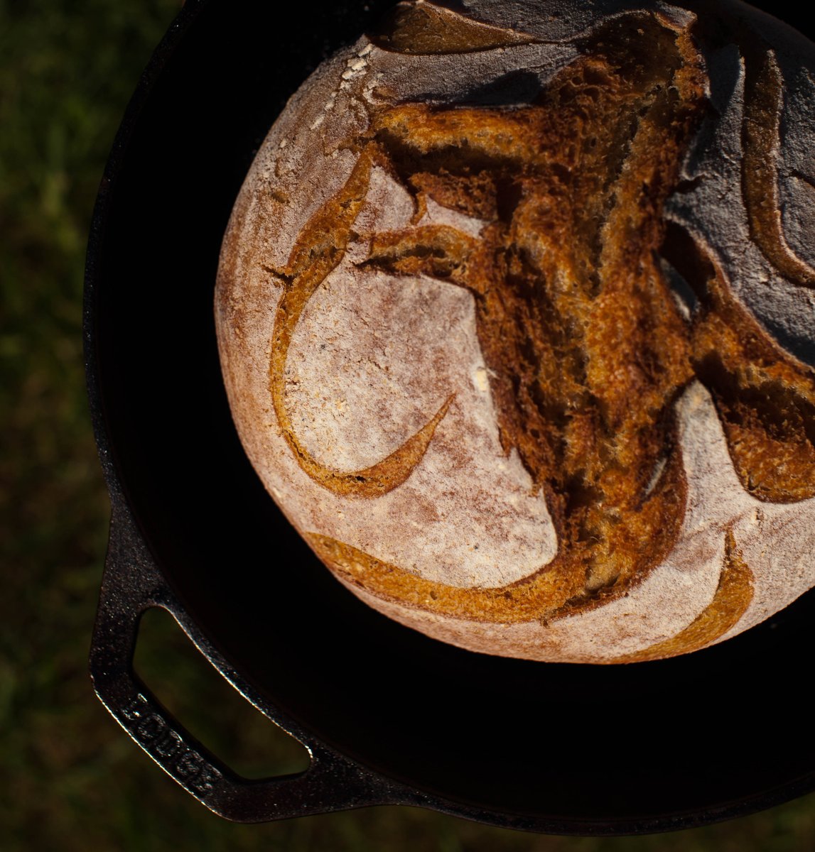 table_fable's tweet photo. #sprouted #spelt and #kamut #sourdough #tablefable https://t.co/7Q7jilpiYu