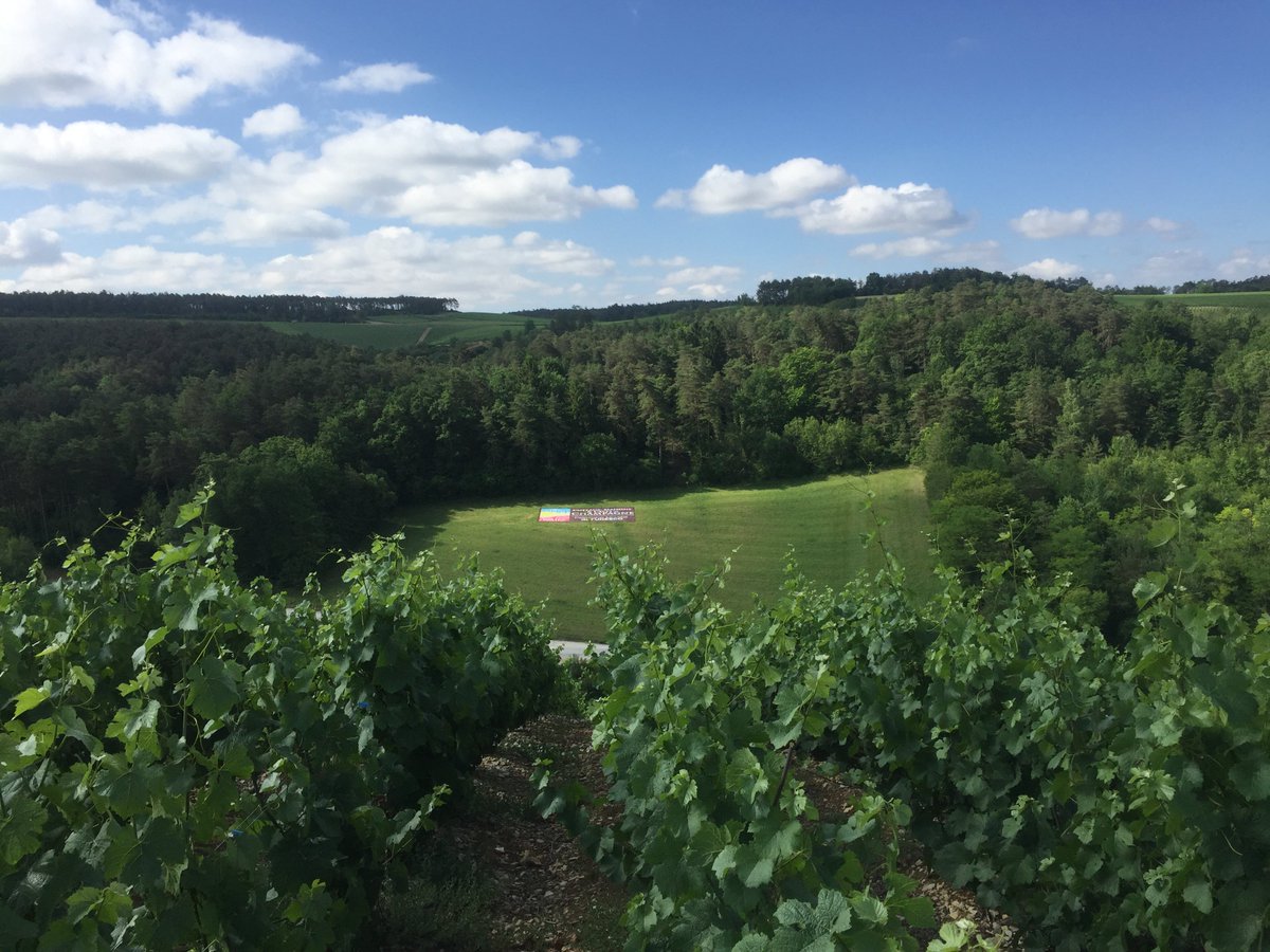 ColetteBonnet's tweet photo. @ChampagneWH marche des réconciliations, 14 km de paysages, de dénivelé, d'animations et de dégustations évidemment ! vivement 2018 https://t.co/4QmtoonOH3