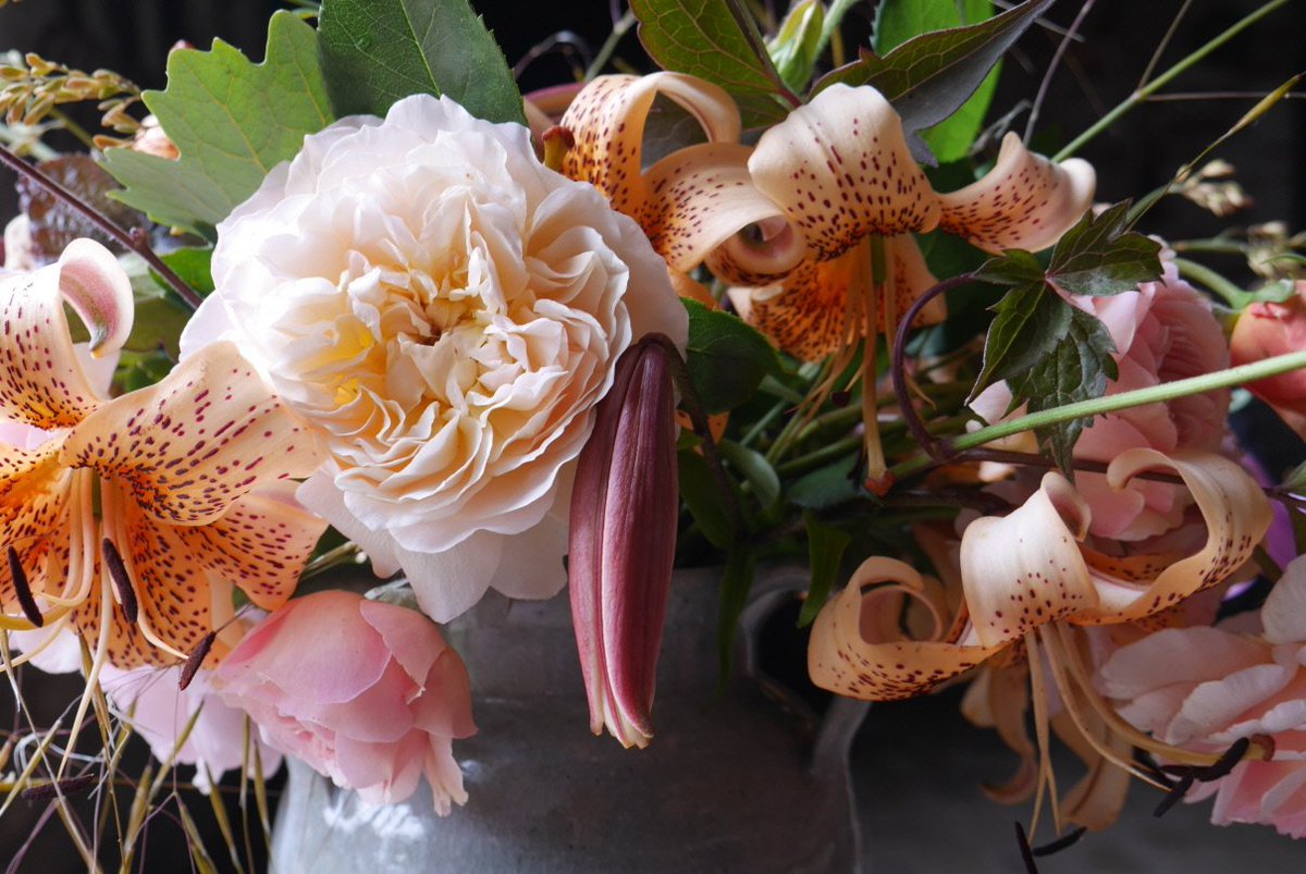 This week's favourite flower: Pink Tiger lily.