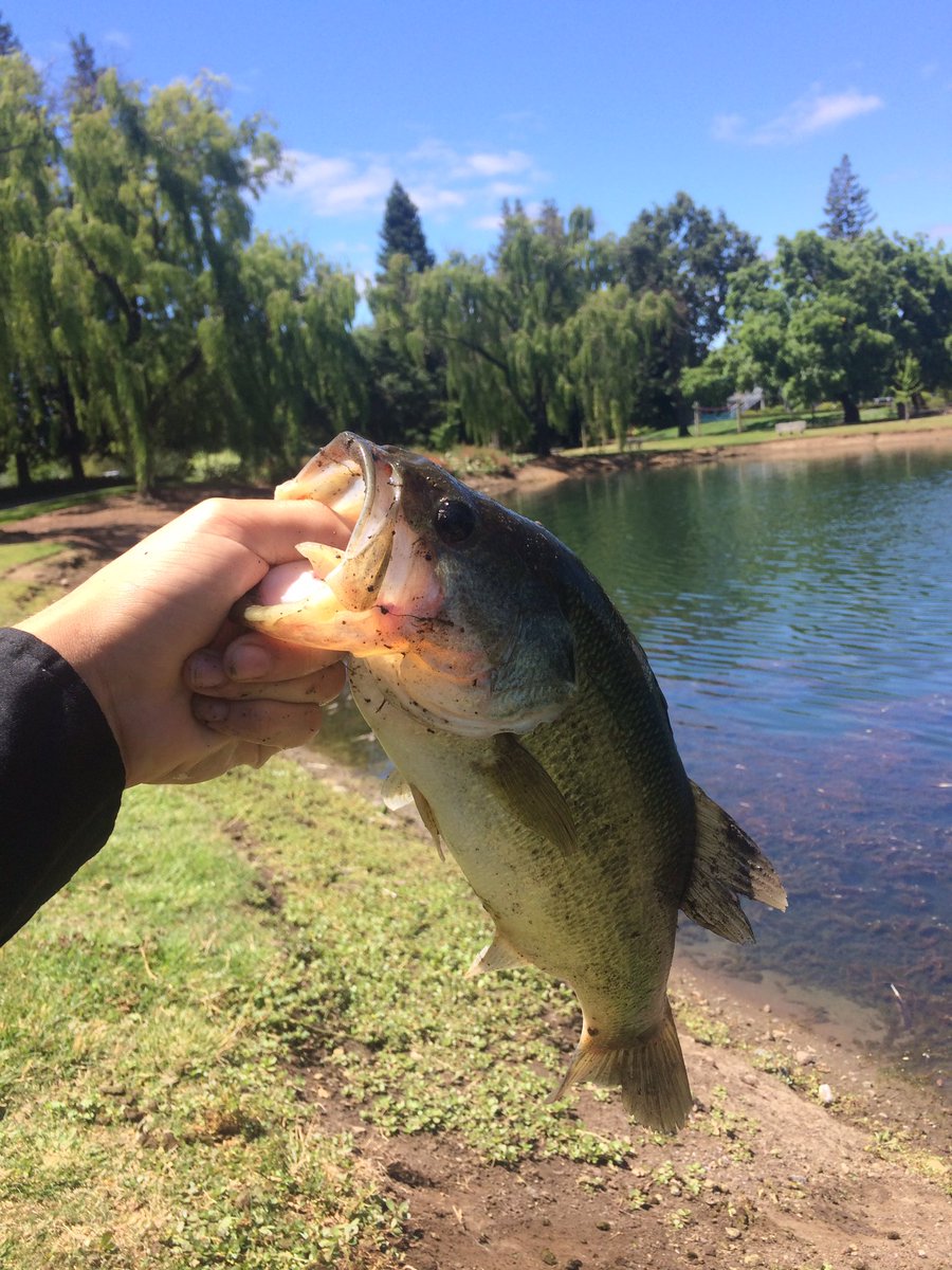 CameronFronce's tweet photo. Bassin' 🎣 https://t.co/qnxPafhR4F