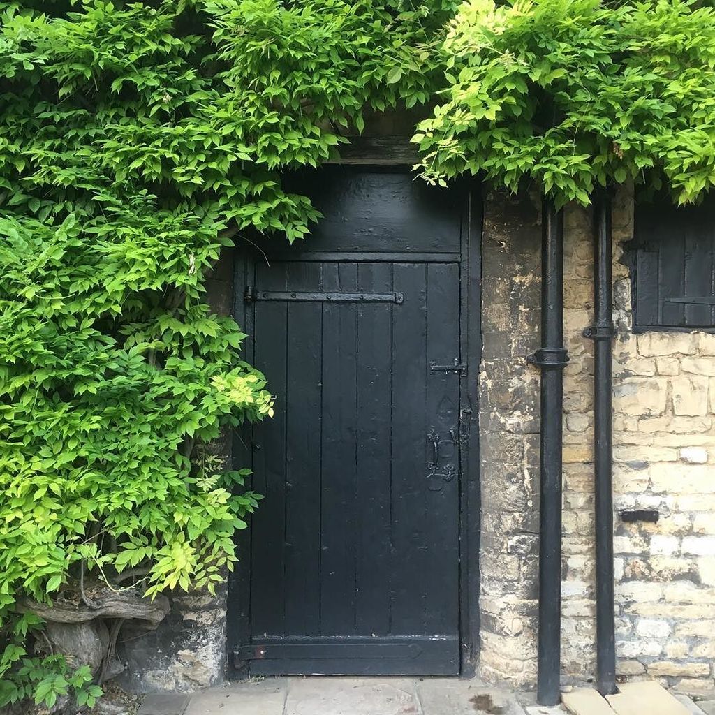 brightandgood's tweet photo. A door at the back of The George bathed in brilliant evening sunshine. https://t.co/lWbWF214rg https://t.co/aqTMFEQcmY